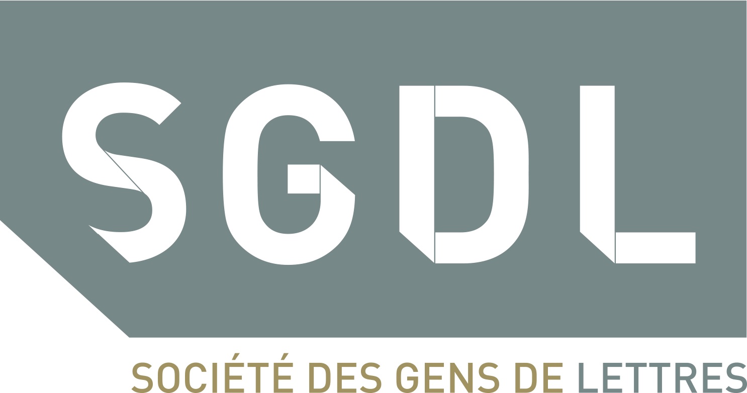 LOGO SGDL COULEUR GRIS usuel