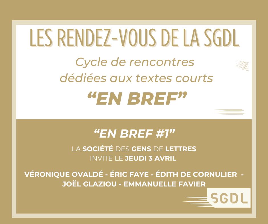carré site En BREF annonce gris